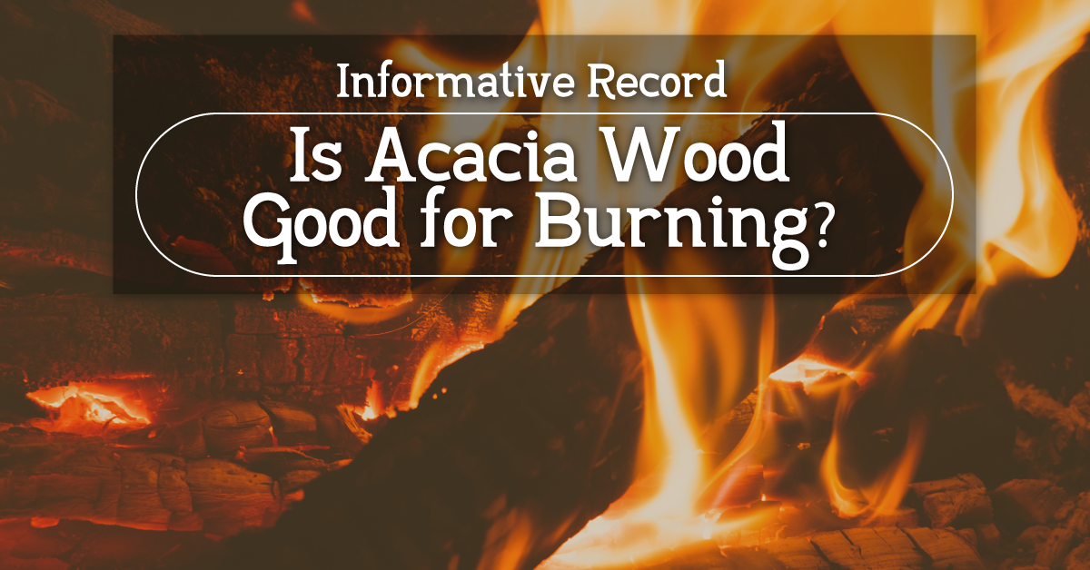 Is Acacia Wood Good for Burning